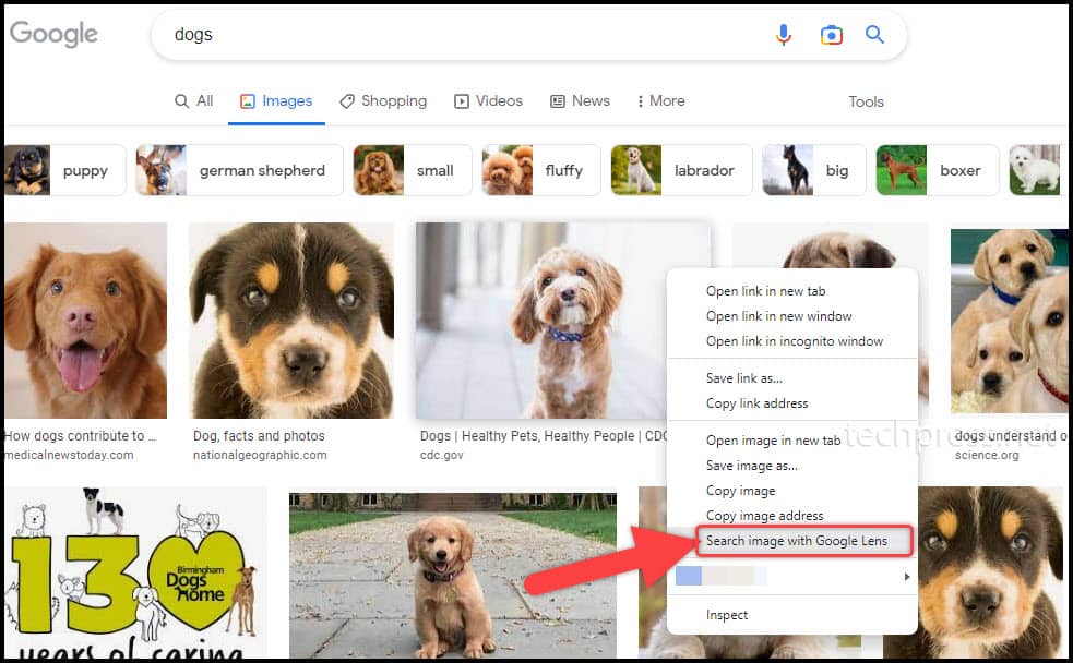Search Image with Google Lens option
