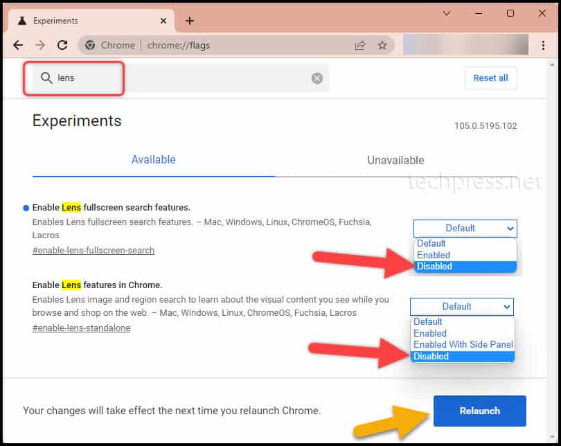 Enable Lens full screen search features and Enable Lens features in Chrome settings in Chrome