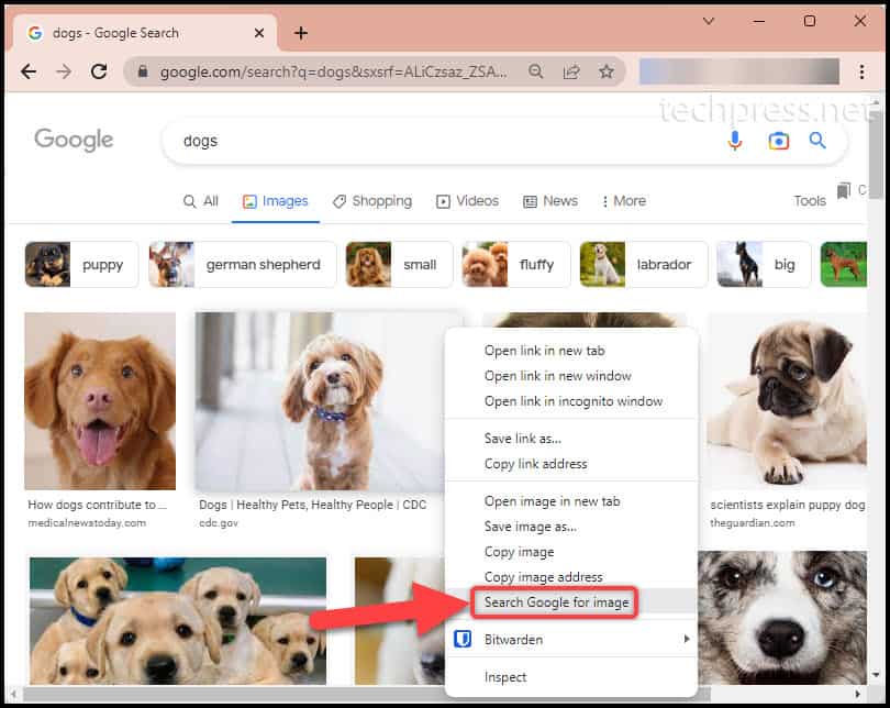 Search Google for image option