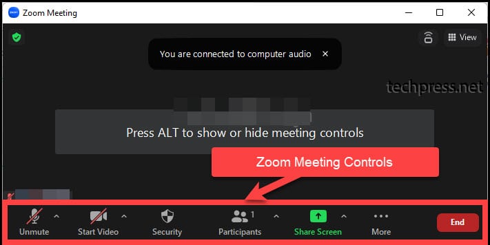 Zoom Meeting Controls in Zoom App on a windows device